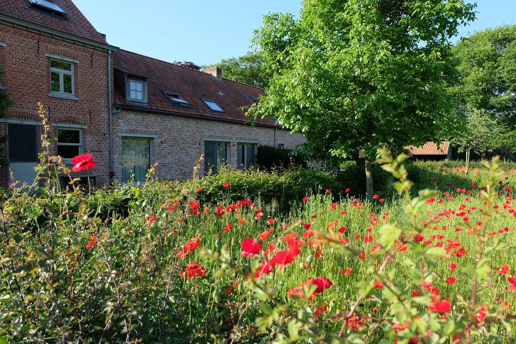 15 inn Mol Zimmer foto