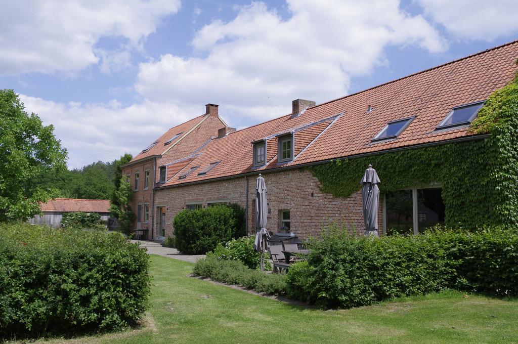 15 inn Mol Zimmer foto